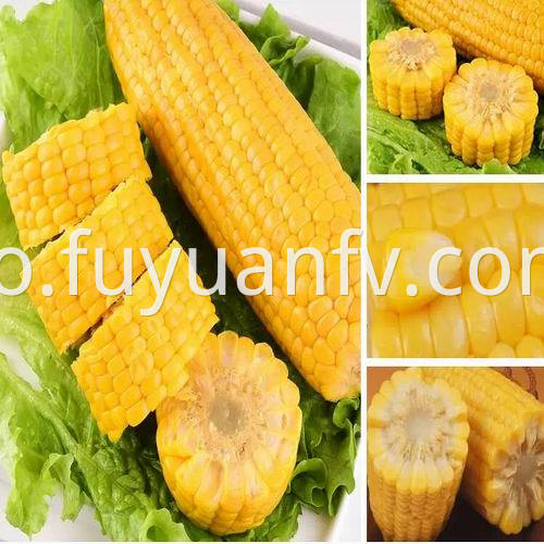 Non-GMO sweet corn 